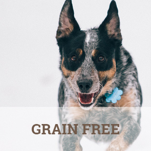 Grain Free