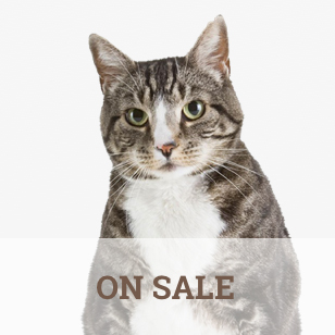 On Sale
