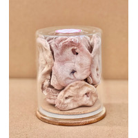 Freezy Paws Superpremium Human Grade Freeze-Dried Pig Snout 6PK