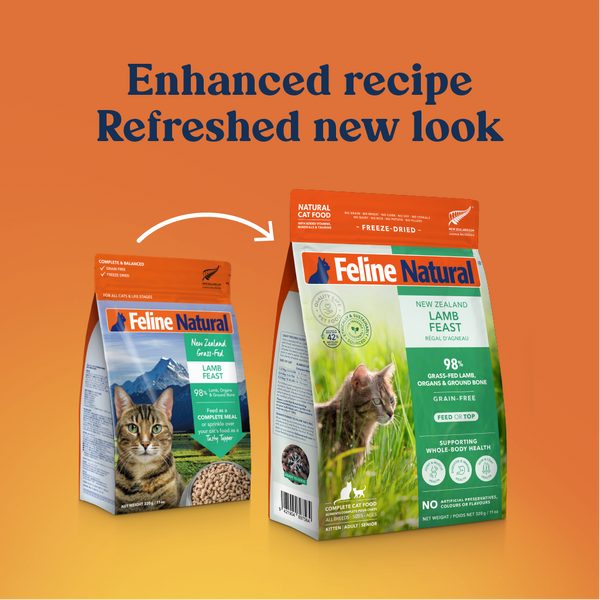 Feline Natural Freeze Dried Cat Food - Lamb Feast 320g