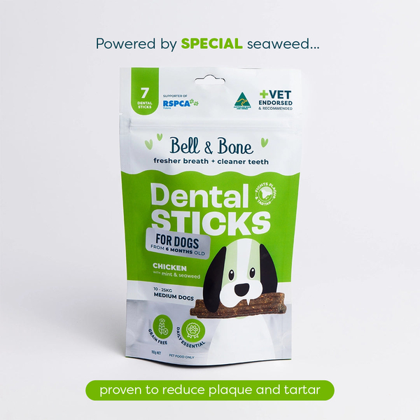 Adult Dog Dental Sticks - Chicken, Mint and Seaweed